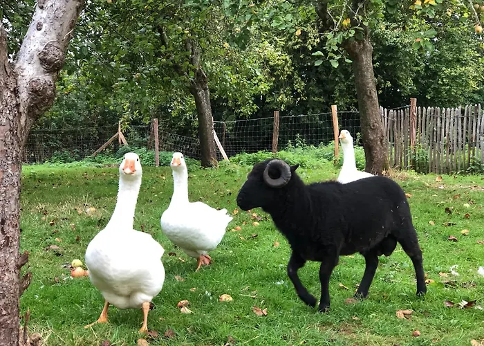 Le Gire Σπίτι διακοπών